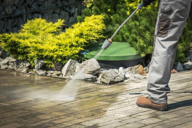 Best House Exterior Washing  in Wyboo, SC