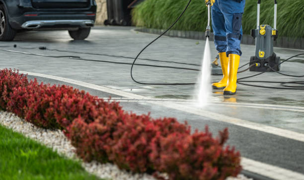 Animal Enclosure Cleaning in Wyboo, SC